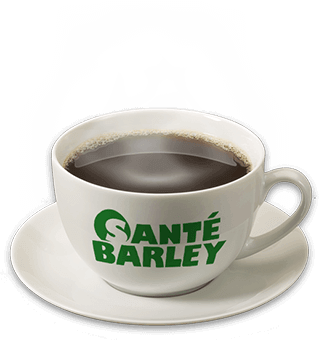 barley-product2