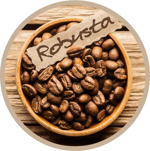 robusta